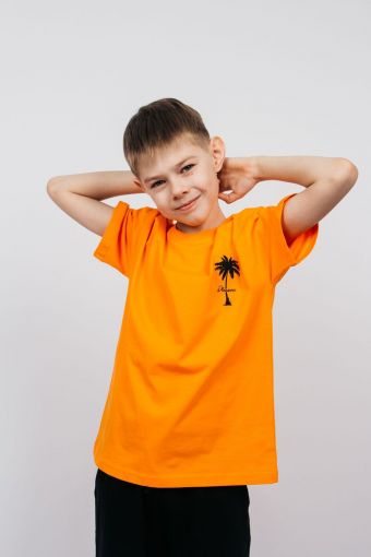 Футболка для мальчика 52365 (Оранжевый) - Модно-Трикотаж