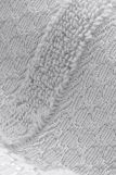 Махровое банное полотенце Verossa коллекция Reticolo 70х140 (Серый) (Фото 3)